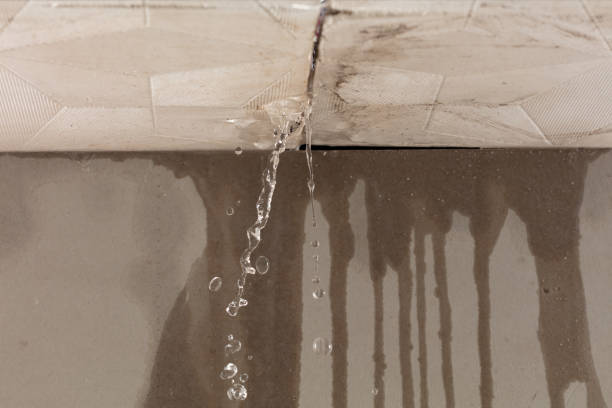 Professional Water Damage Repair technician working in Fayetteville, OH